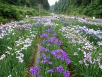 県民公園頼成の森