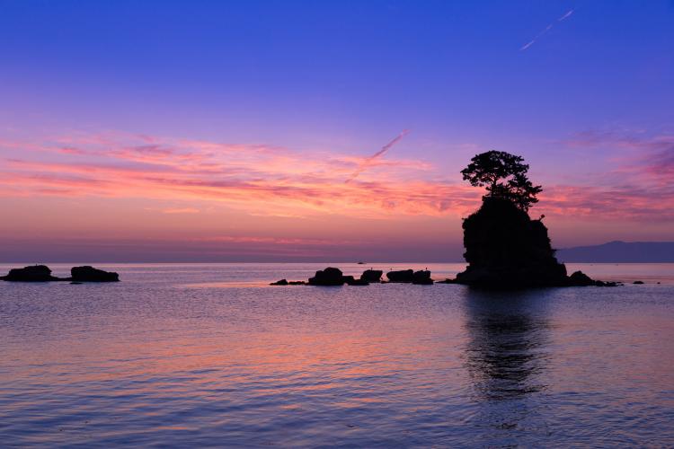 雨晴海岸 ドライブコンサルタント