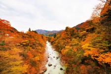 手取峡谷
