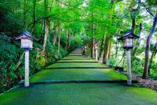白山比咩神社