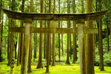 叡智の杜（苔の里）