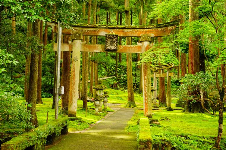 叡智の杜(苔の里)