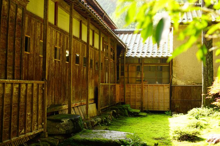 叡智の杜(苔の里)