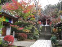 薬王院温泉寺