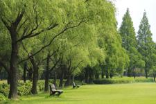 木場潟公園