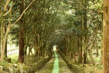 瀧谷寺