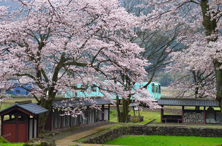 一乗谷朝倉氏遺跡