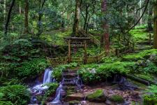 瓜割の滝（若狭瓜割名水公園）