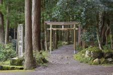 瓜割の滝（若狭瓜割名水公園）