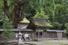 若狭姫神社