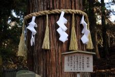 若狭姫神社