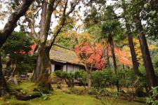 神宮寺