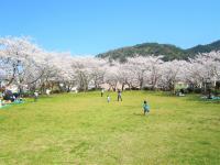 小浜公園