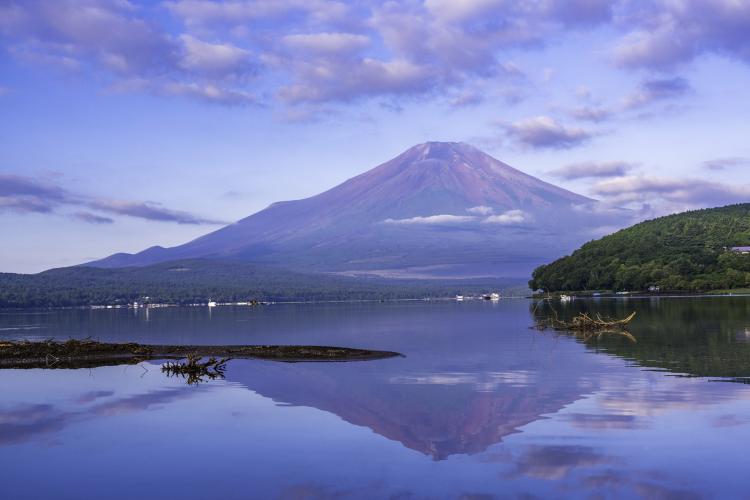 山中湖