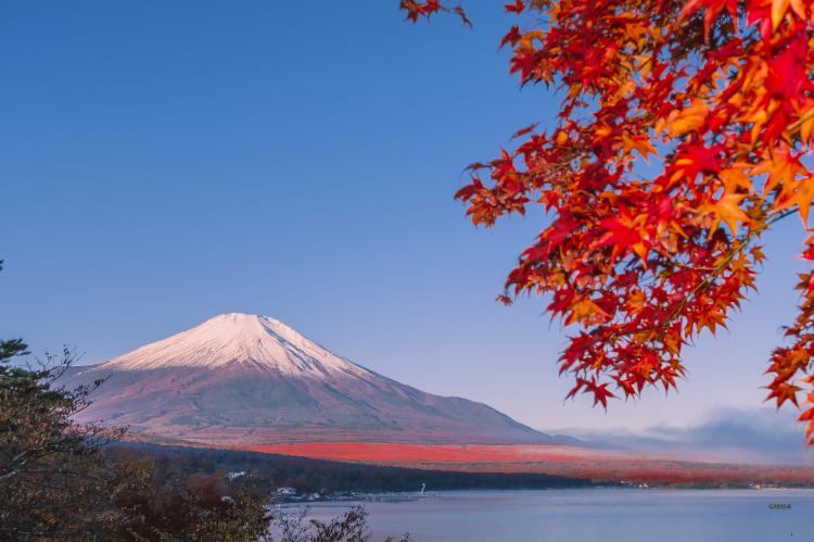 山中湖