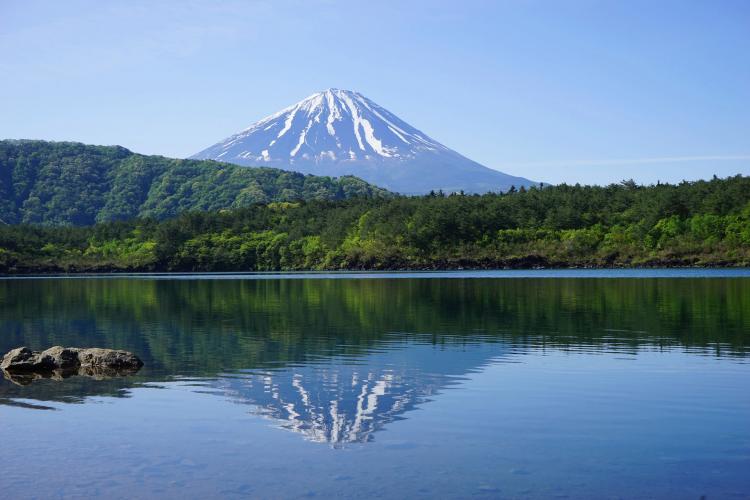 西湖 ドライブコンサルタント