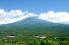 青木ヶ原樹海
