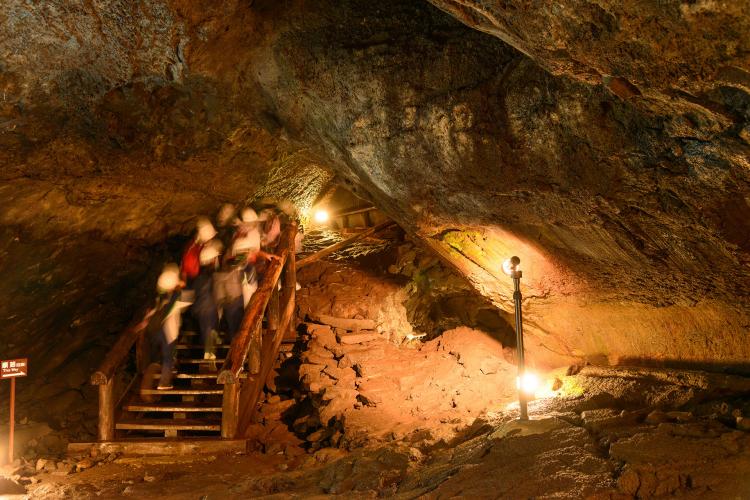 西湖コウモリ穴