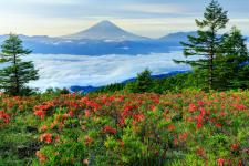 甘利山