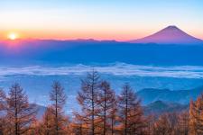 甘利山