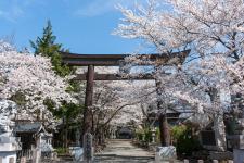 冨士御室浅間神社