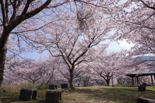 うつぶな公園