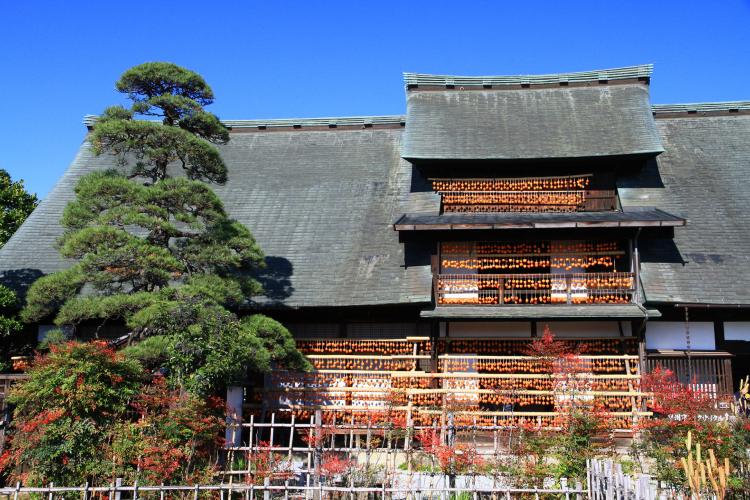 旧高野家住宅(甘草屋敷)