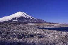 パノラマ台（山中湖/富士山）