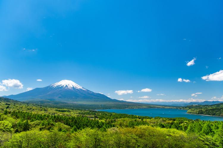 パノラマ台（山中湖/富士山）