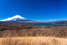 パノラマ台（山中湖/富士山）