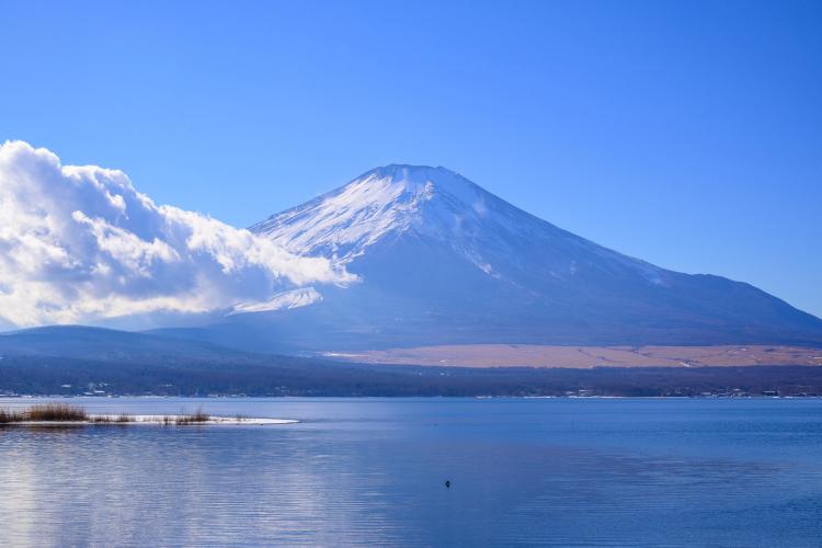 平野(山中湖/富士山)