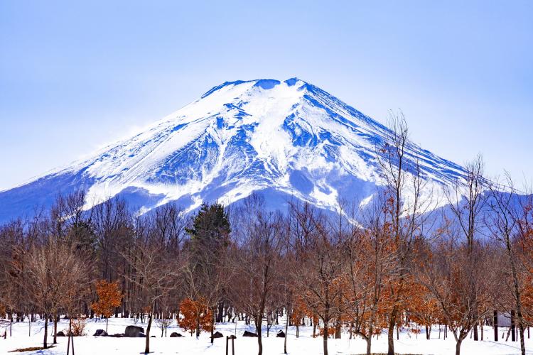 富士散策公園(富士山)