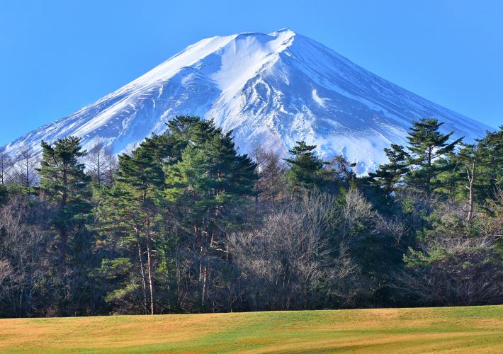 諏訪の森自然公園（富士山）