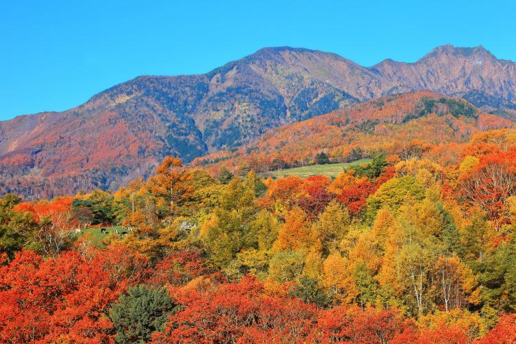 東沢橋(東沢大橋)