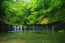 白糸の滝