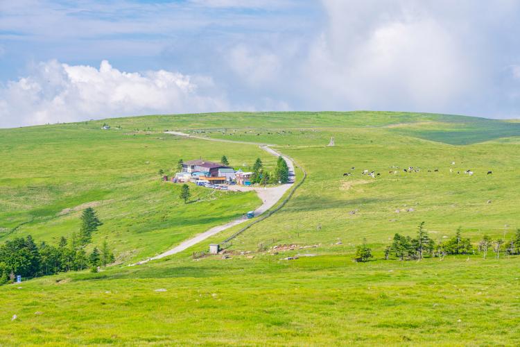 美ヶ原高原