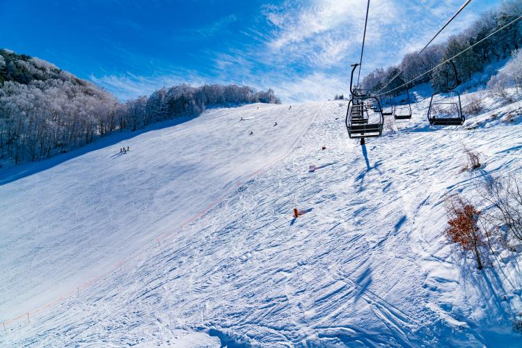 志賀高原 ジャイアントスキー場