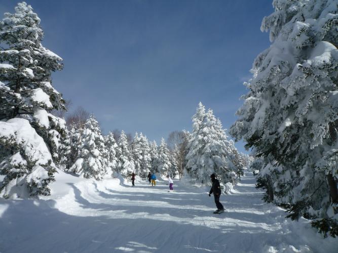 竜王スキーパーク