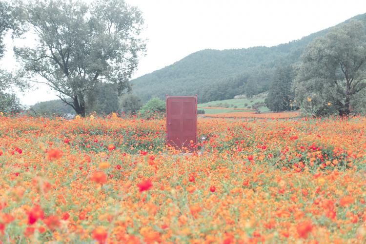 国営アルプスあづみの公園(堀金・穂高地区)