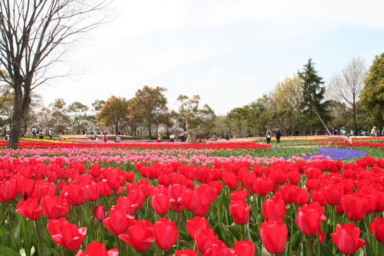 木曽三川公園センター ドライブコンサルタント 木曽三川公園センター ドライブコンサルタント