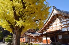 虎渓山 永保寺
