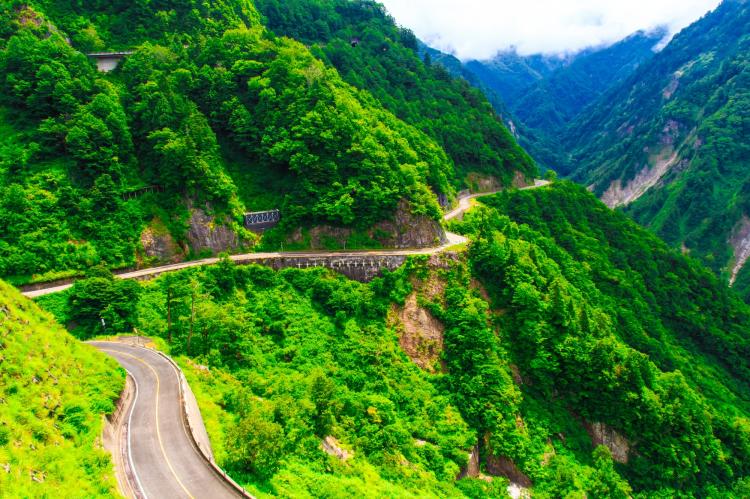 白山白川郷ホワイトロード