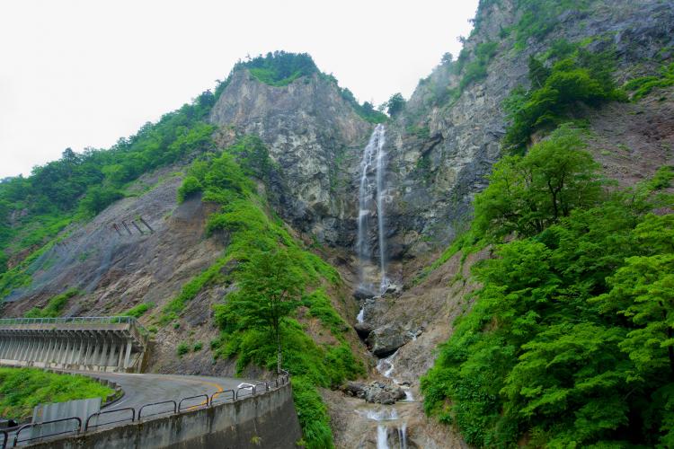白山白川郷ホワイトロード