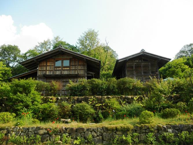 横井照子ひなげし美術館