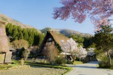 明善寺庫裡郷土館（白川郷）