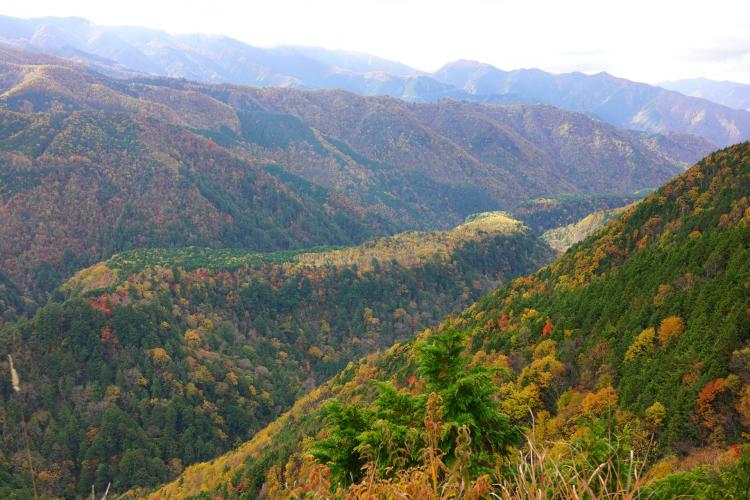 御嶽パノラマライン ドライブコンサルタント 御嶽パノラマライン ドライブコンサルタント