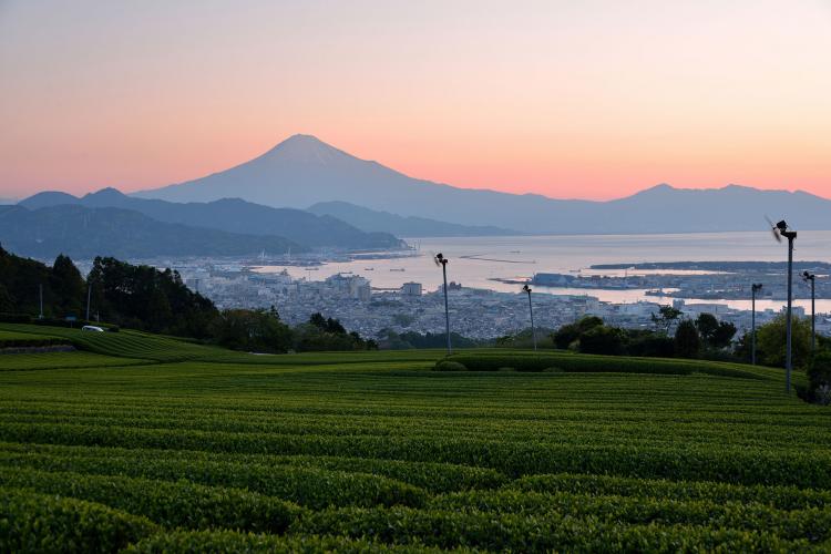 日本平