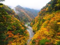 寸又峡