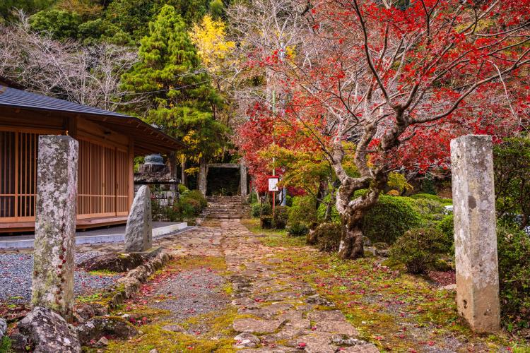 修禅寺