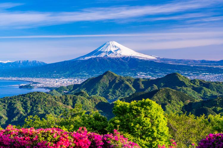 伊豆パノラマパーク